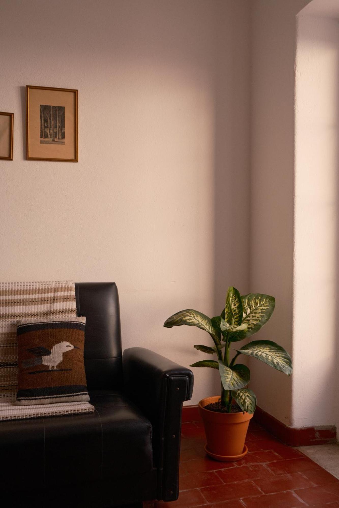 Manas Coliving Appartement Sines Buitenkant foto